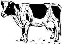 LAC006I.TIF