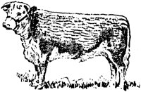 LAC006F.TIF