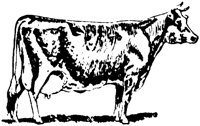 LAC006C.TIF
