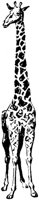 LAC003C.TIF