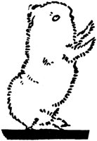 LAC001J.TIF