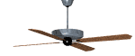 CEILI~12.GIF