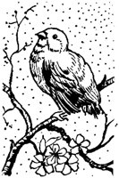 SIT086N.TIF
