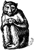 SIT085L.TIF
