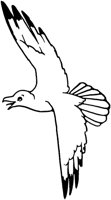 SIT079H.TIF