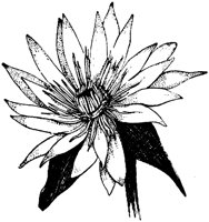 SIT087G.TIF