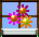 AWINDOW1.GIF