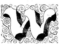 VSI019WW.TIF