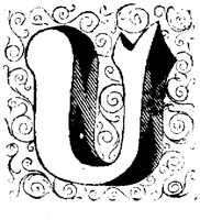 VSI019UU.TIF