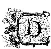 VSI019D.TIF