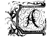VSI019A.TIF