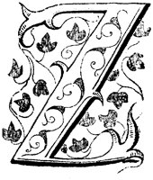 VSI018ZZ.TIF
