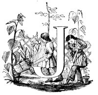 VSI016J.TIF