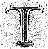 VSI014T.TIF