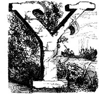 VSI013L.TIF