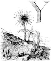 VSI009L.TIF