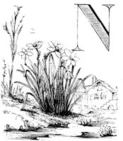 VSI009A.TIF