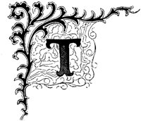 VSI007T.TIF