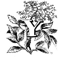 VSI006Y.TIF