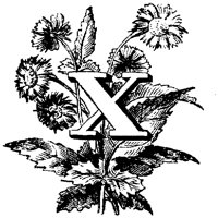 VSI006X.TIF