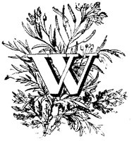 VSI006W.TIF