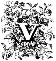 VSI006V.TIF