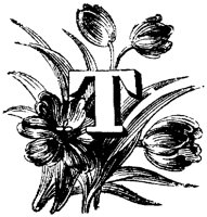 VSI006T.TIF