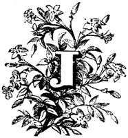 VSI006J.TIF