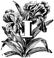 VSI006I.TIF