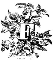 VSI006F.TIF