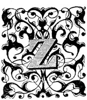 VSI005Z.TIF