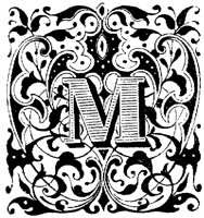 VSI005M.TIF