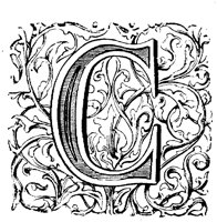 VSI004C.TIF