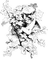 VSI034I.TIF