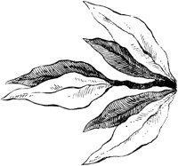 VSI032G.TIF