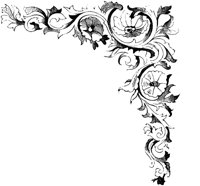 VSI028M.TIF