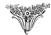 VSI023B.TIF