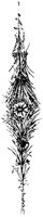 VSI020L.TIF