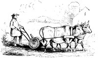 VSI059E.TIF