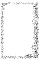 VSI087L.TIF