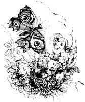 VSI086G.TIF