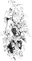 VSI086A.TIF