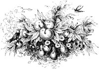 VSI084H.TIF