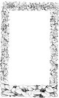 VSI083O.TIF