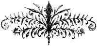 VSI083L.TIF