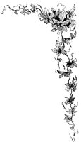 VSI083C.TIF