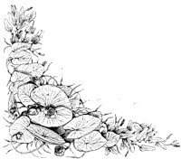 VSI082J.TIF