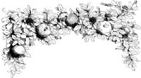 VSI082A.TIF