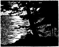 WMG018M.TIF