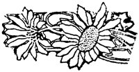 WMG038F.TIF